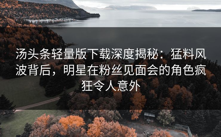 汤头条轻量版下载深度揭秘：猛料风波背后，明星在粉丝见面会的角色疯狂令人意外
